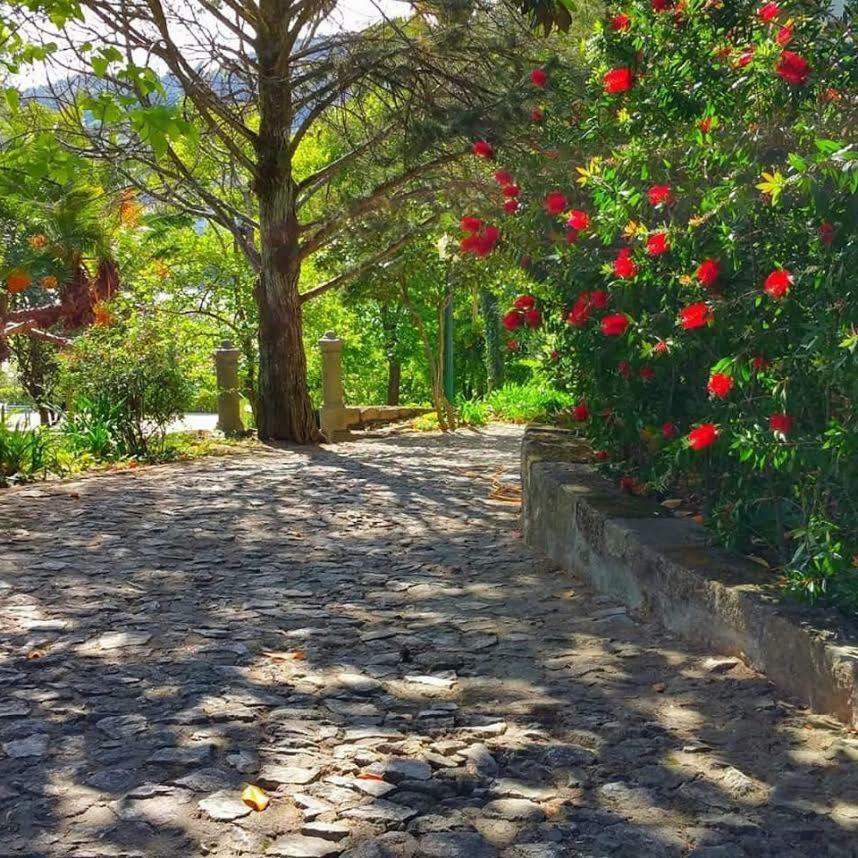 バイアン Quinta Da Ermida - Turismo De Habitacao Bed & Breakfast エクステリア 写真